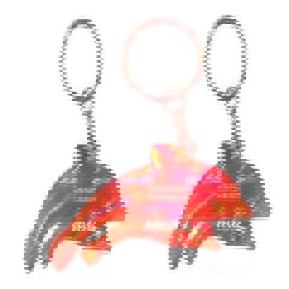 KeyChains Dph Vacation Paradis