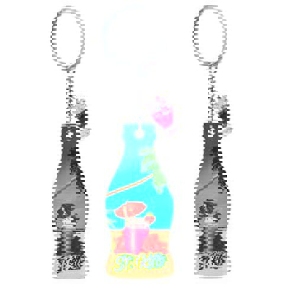 KeyChains Acrilic Bottle Dolphin Small