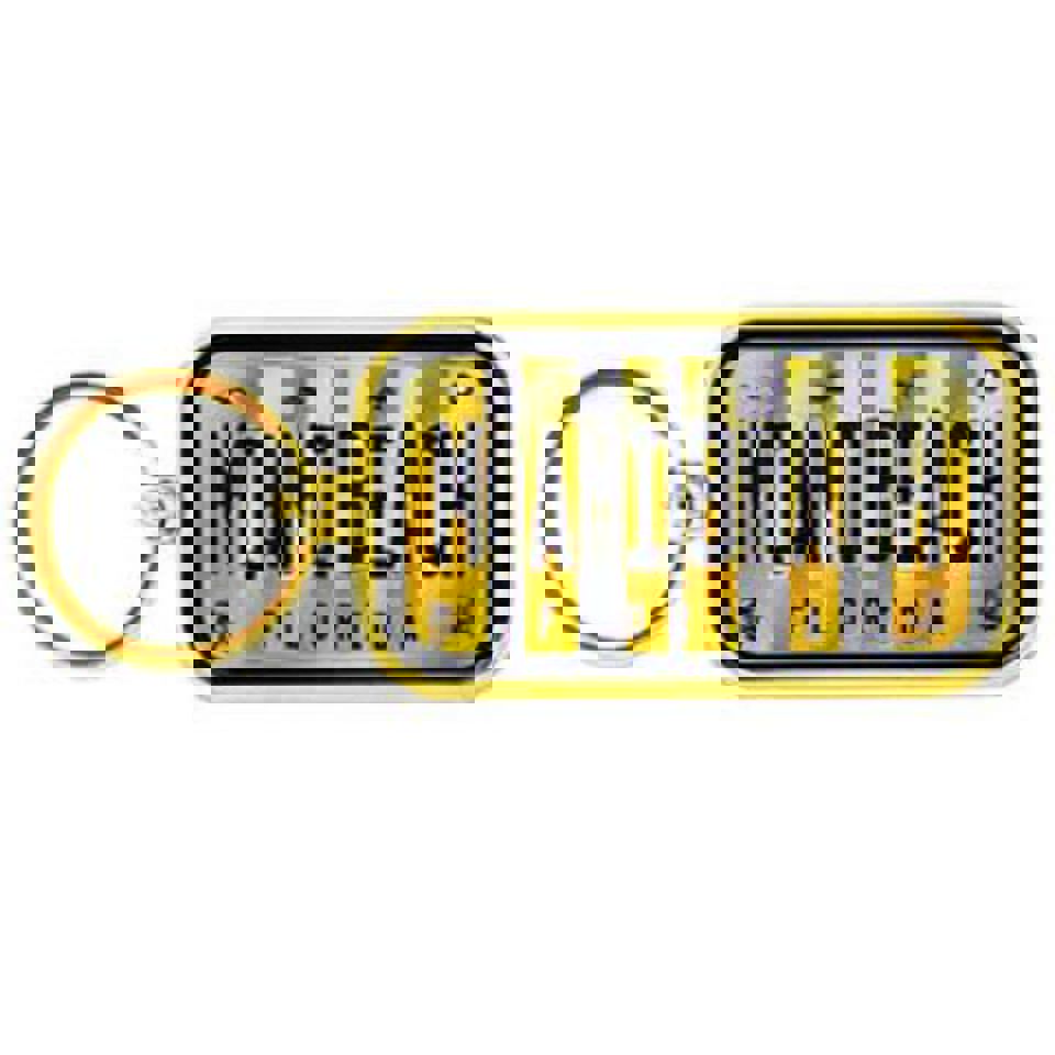 KeyChains Miami Beach Gold Ring Lp