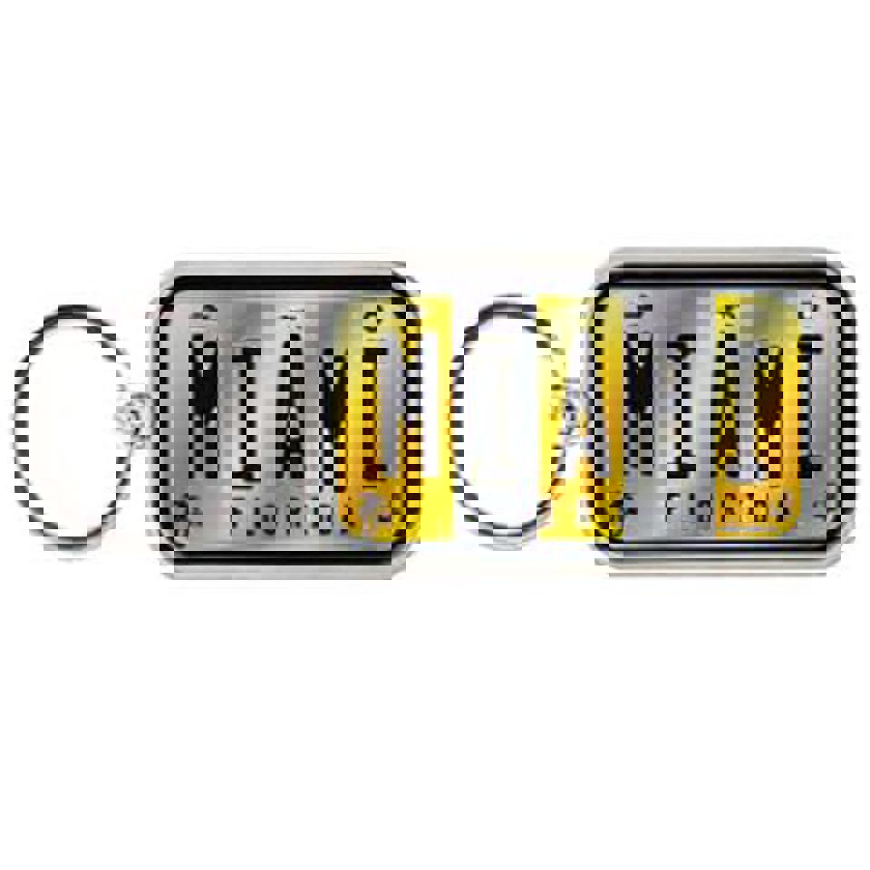 KeyChains Miami Silver Ring Lp