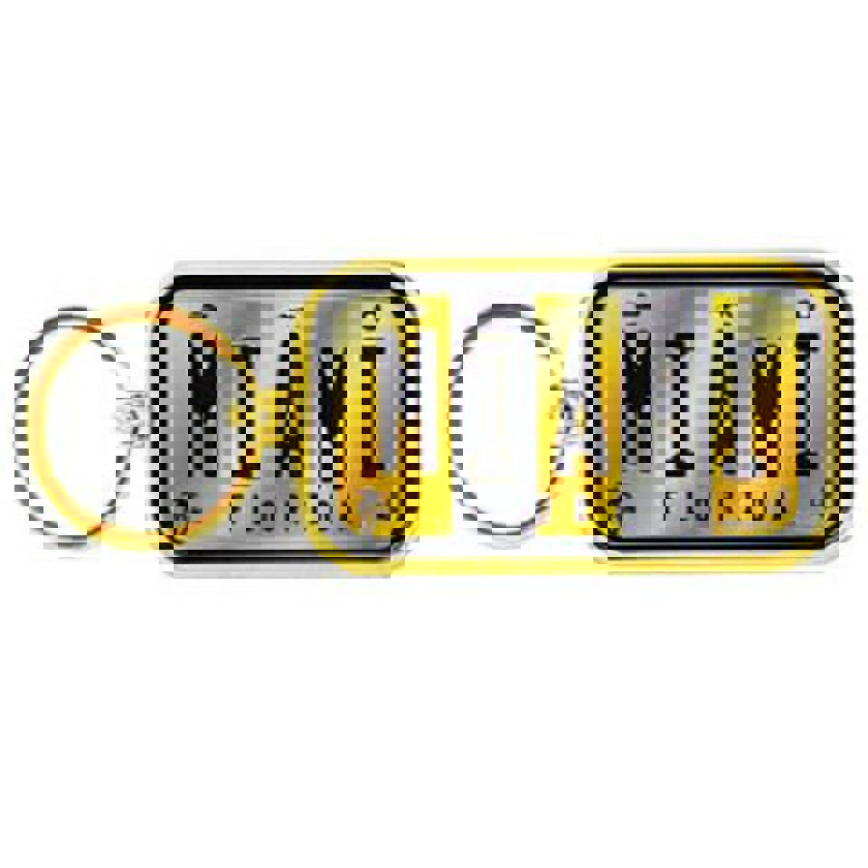 KeyChains Miami Gold Ring Lp